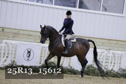 25R13_15612 proof