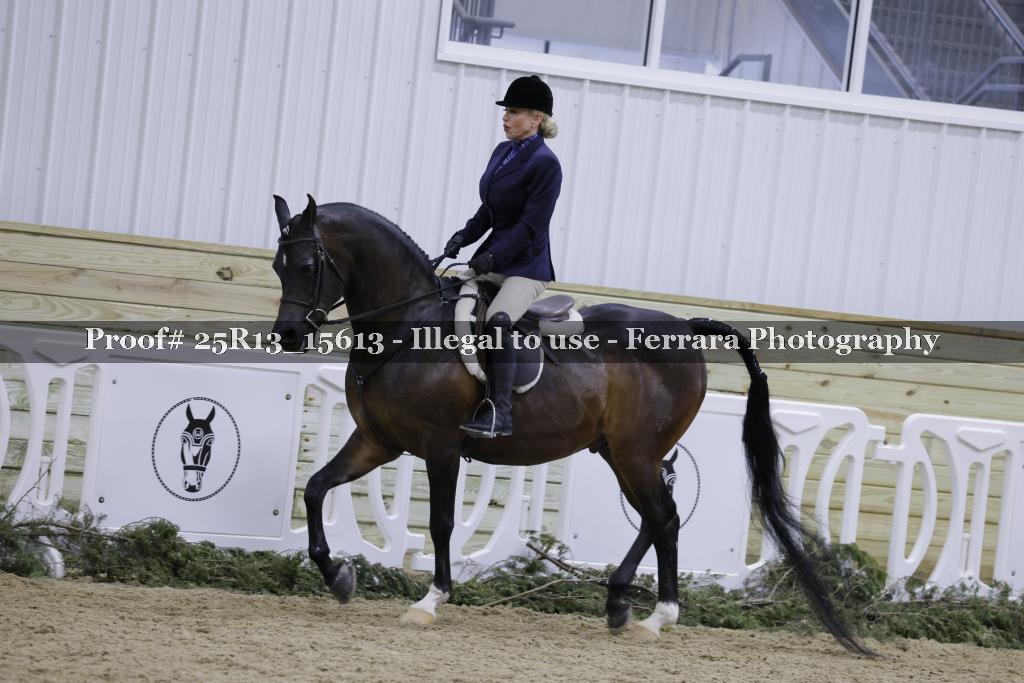 Proof 25R13_15613