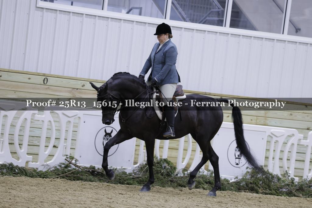 Proof 25R13_15615