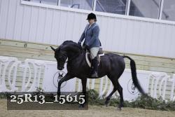 25R13_15615 proof
