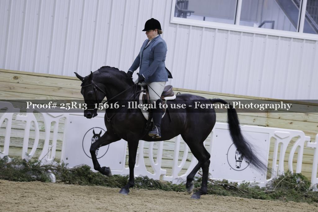 Proof 25R13_15616