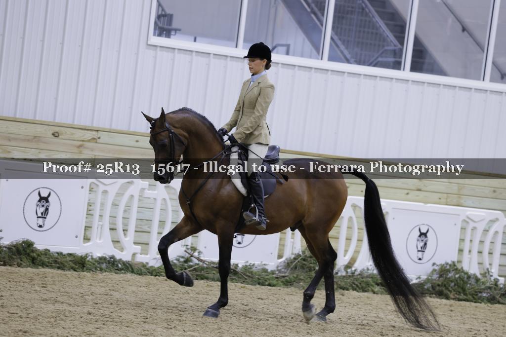 Proof 25R13_15617