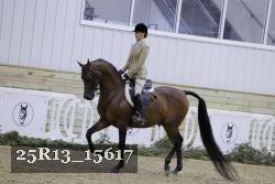 25R13_15617 proof