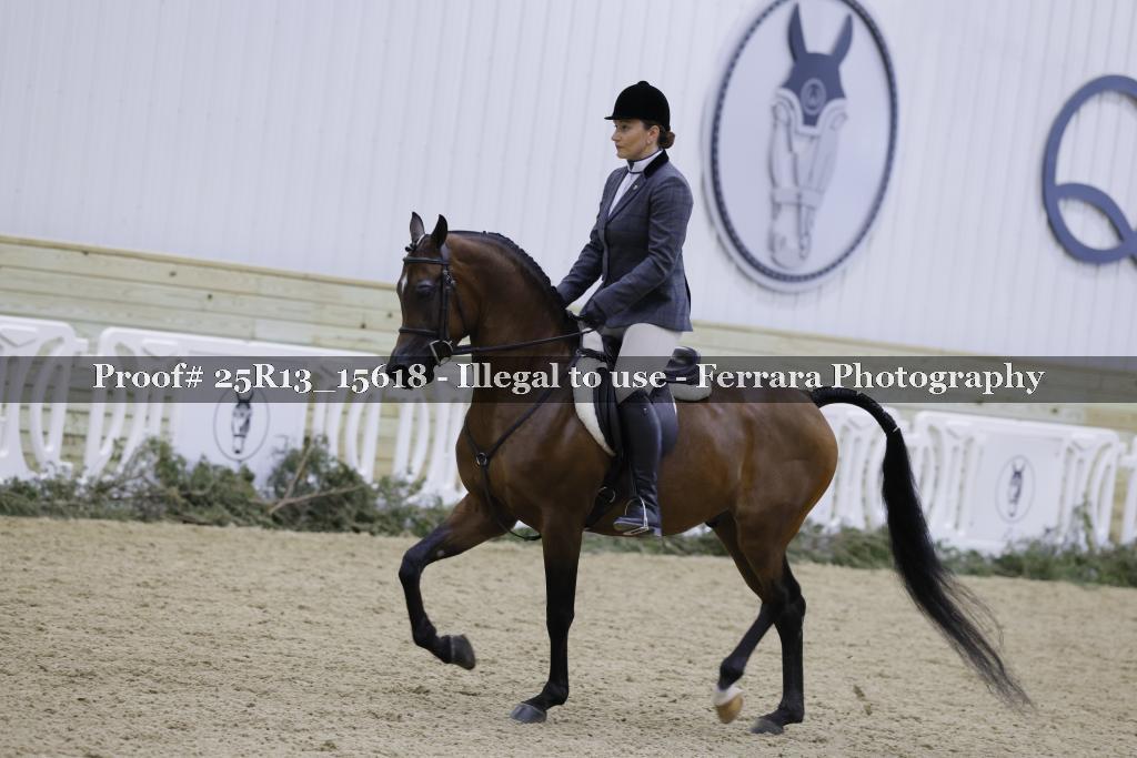 Proof 25R13_15618