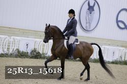 25R13_15618 proof