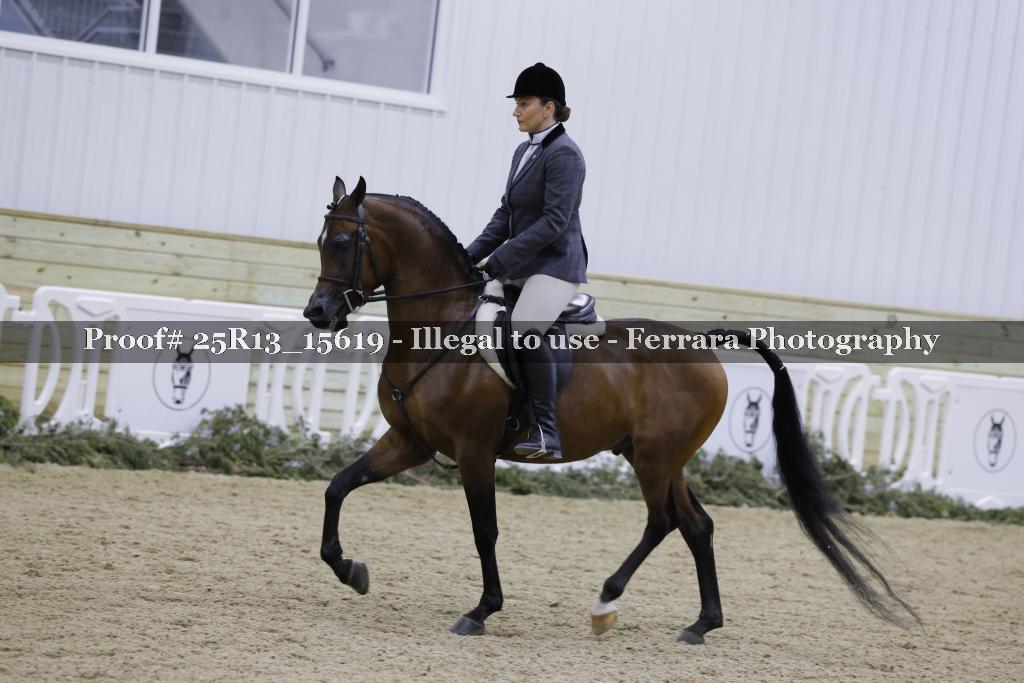 Proof 25R13_15619