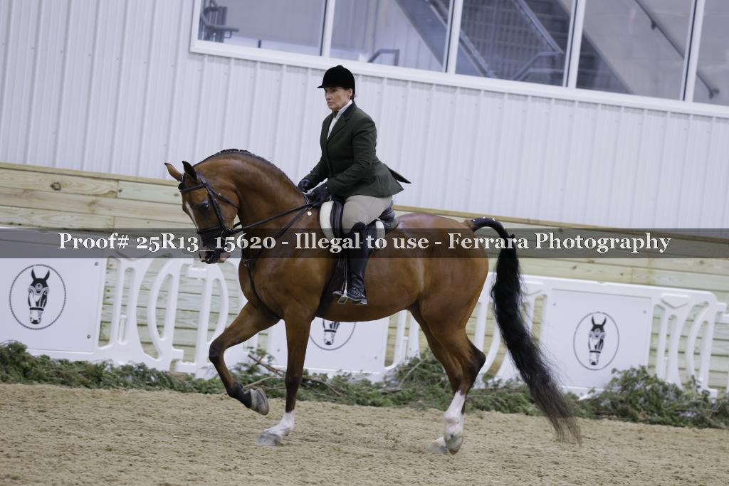 Proof 25R13_15620