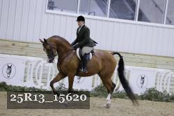 25R13_15620 proof