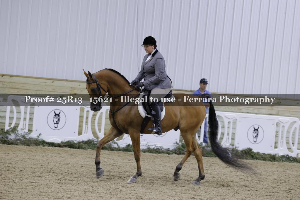 Proof 25R13_15621