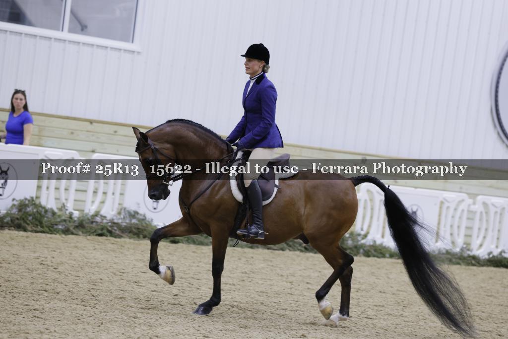 Proof 25R13_15622