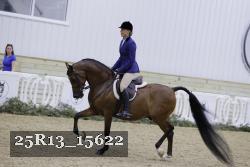 25R13_15622 proof