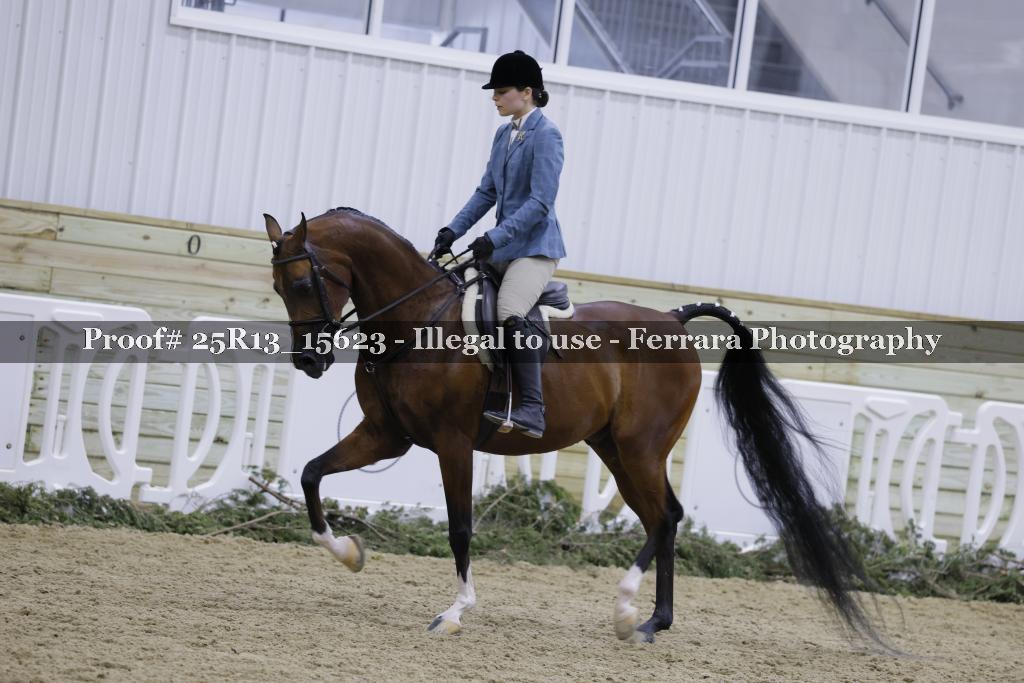 Proof 25R13_15623