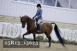 25R13_15623 proof