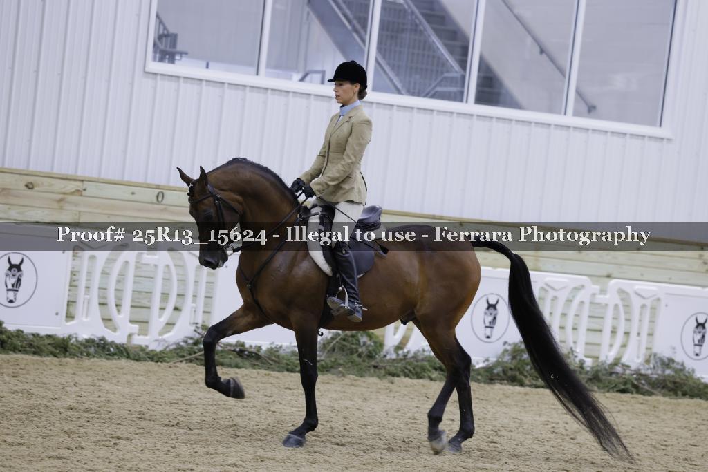 Proof 25R13_15624
