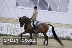 25R13_15624 proof