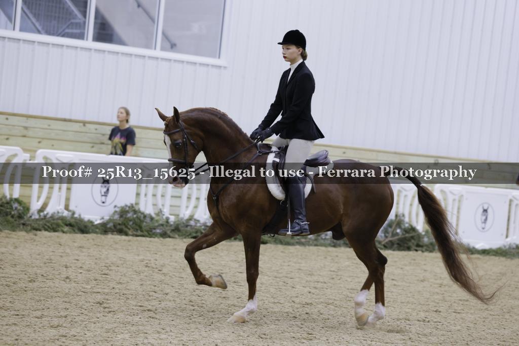 Proof 25R13_15625