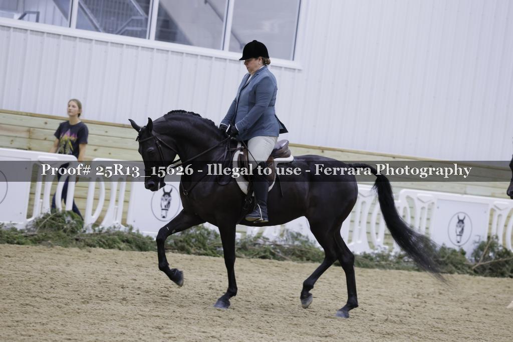 Proof 25R13_15626