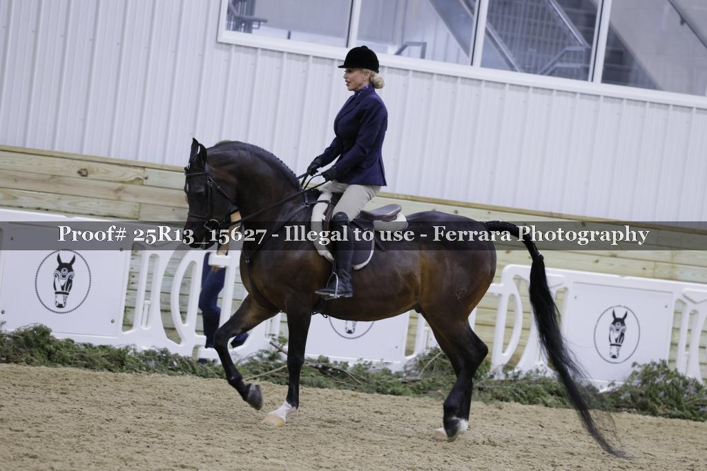 Proof 25R13_15627