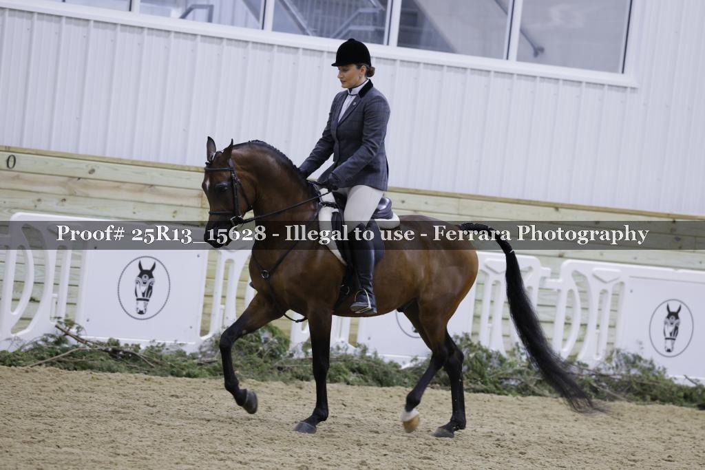 Proof 25R13_15628