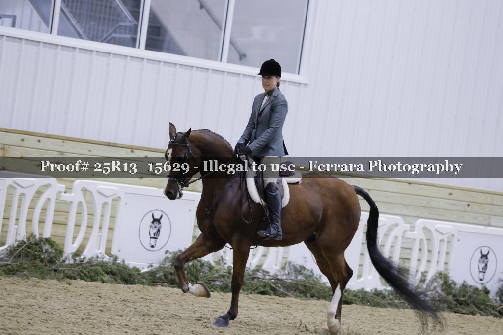 Proof 25R13_15629