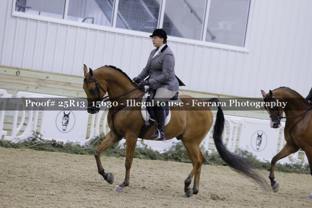 Proof 25R13_15630