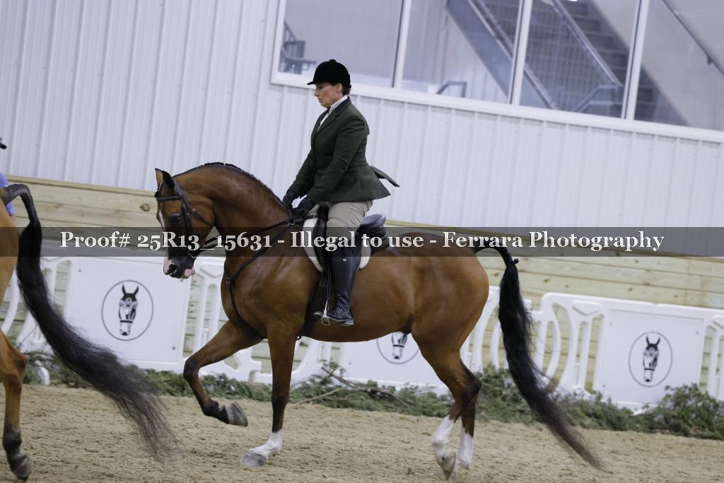 Proof 25R13_15631