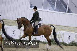 25R13_15631 proof