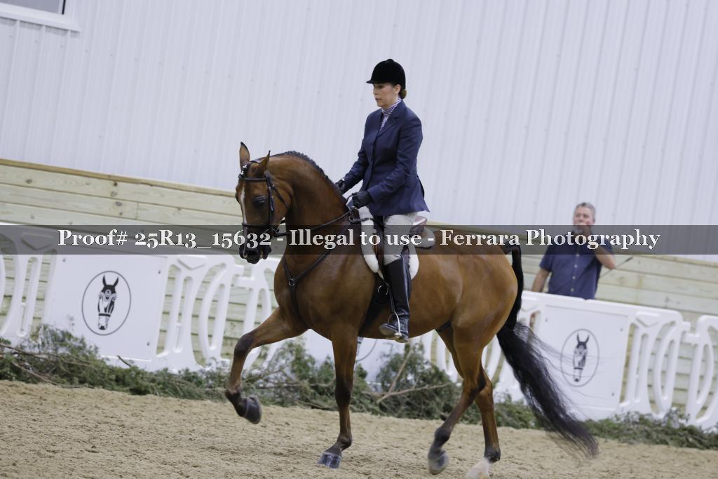 Proof 25R13_15632