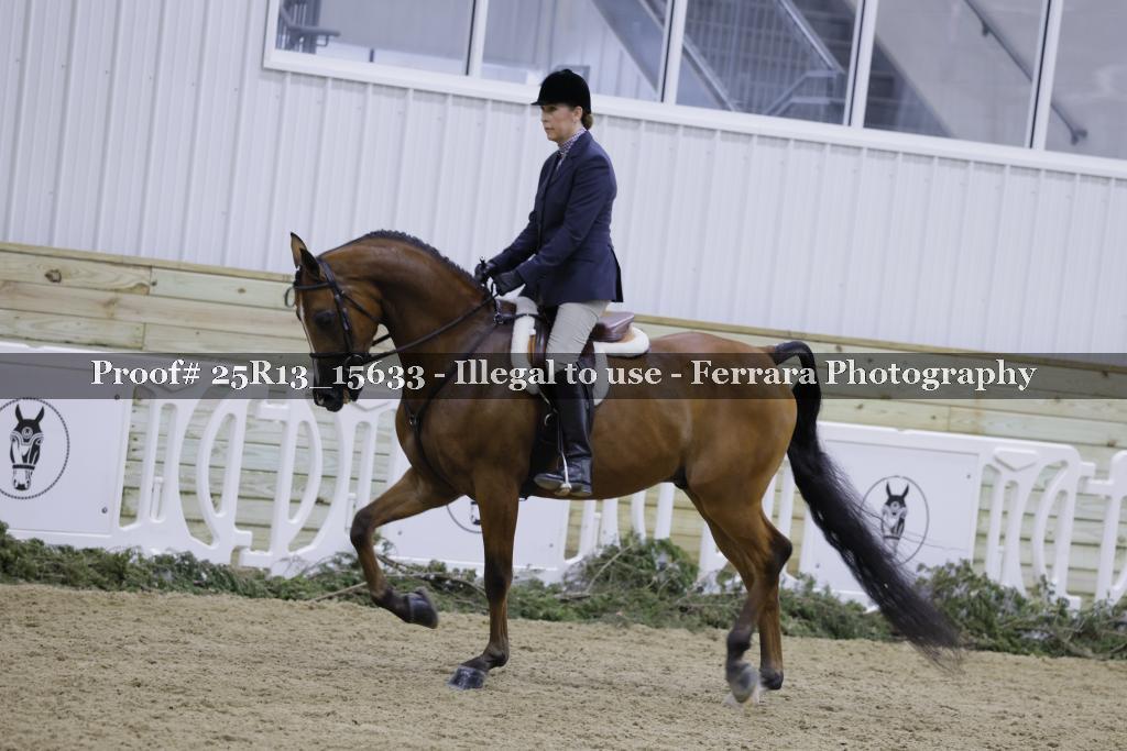 Proof 25R13_15633