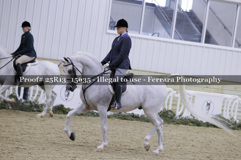 Proof 25R13_15635