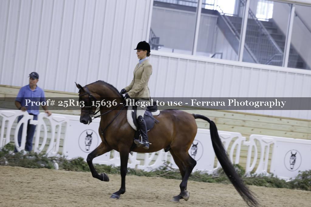 Proof 25R13_15636