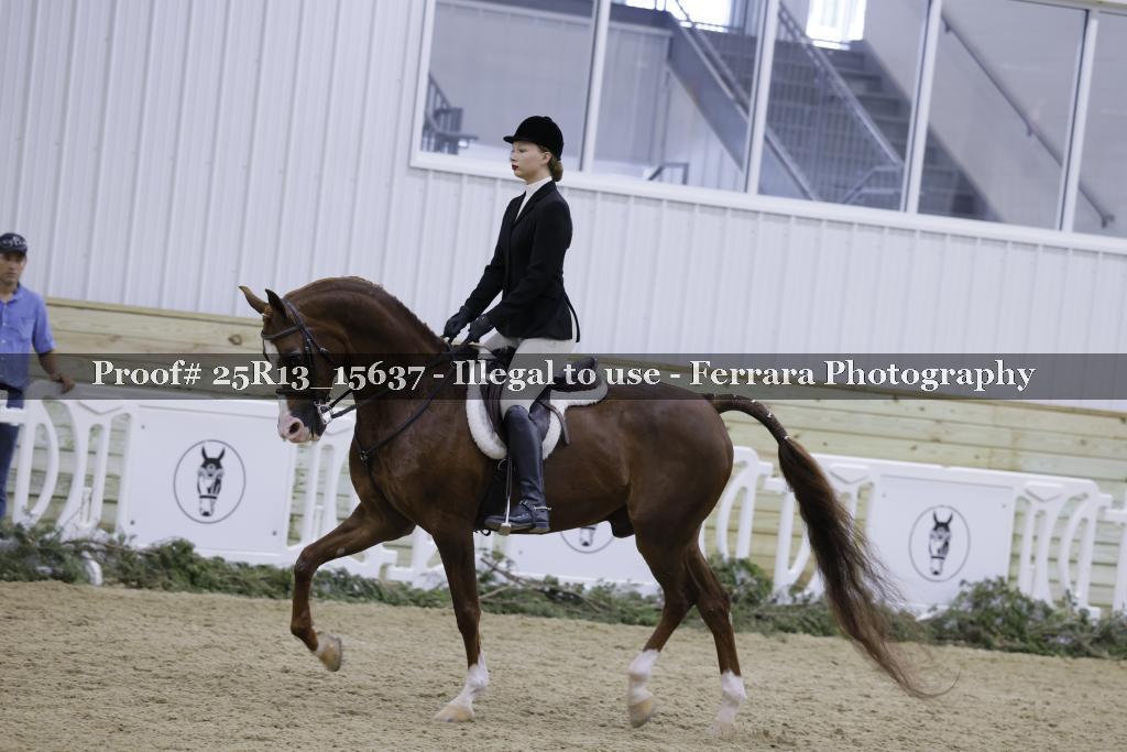 Proof 25R13_15637