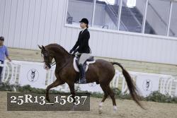 25R13_15637 proof