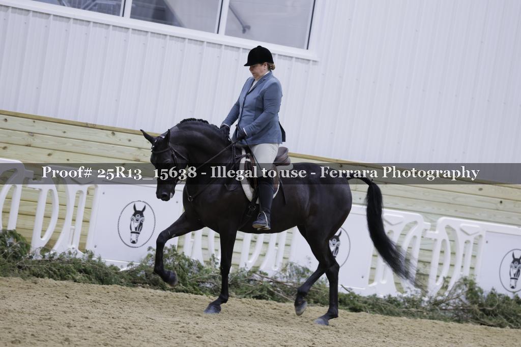 Proof 25R13_15638