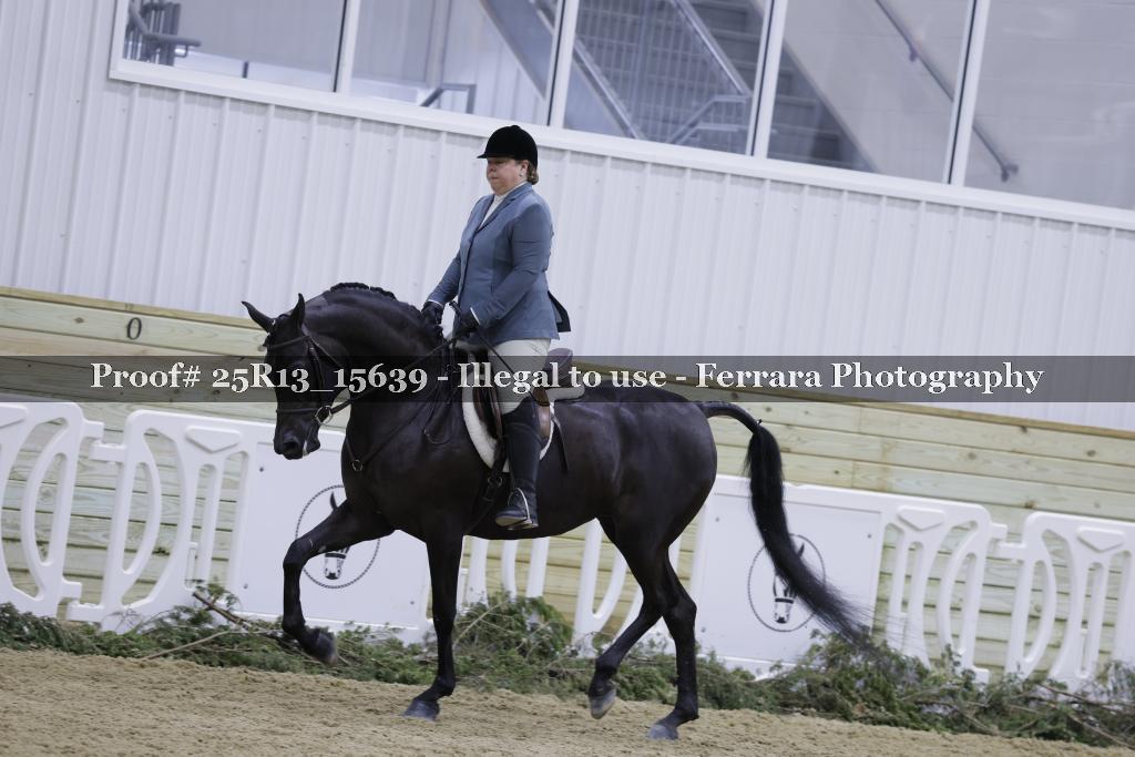 Proof 25R13_15639