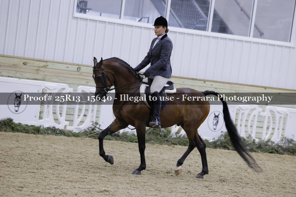 Proof 25R13_15640