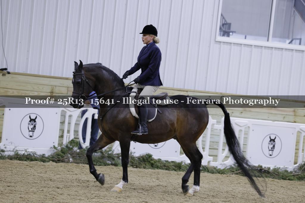 Proof 25R13_15641