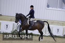 25R13_15641 proof