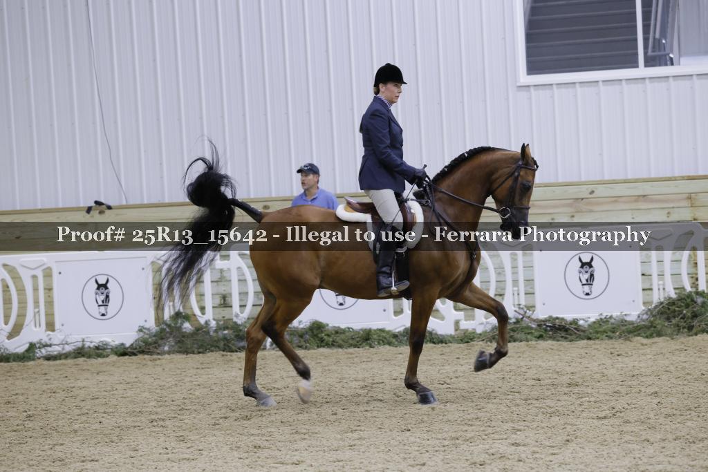Proof 25R13_15642