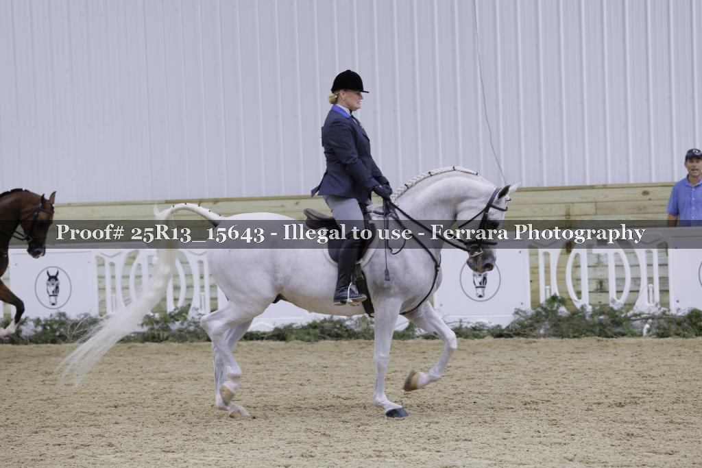Proof 25R13_15643