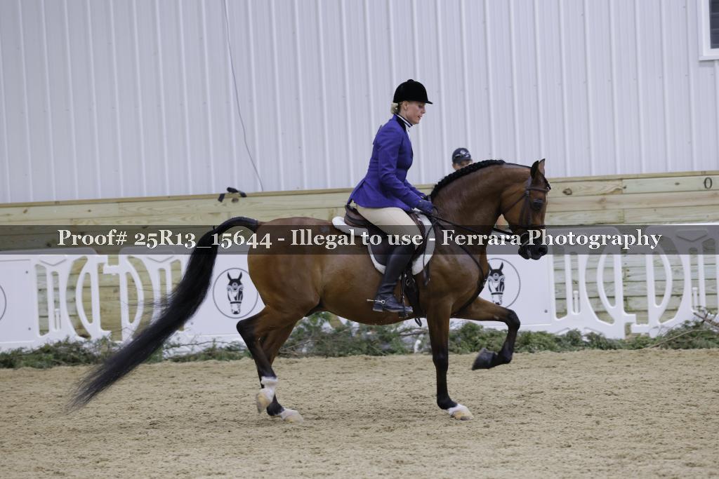 Proof 25R13_15644