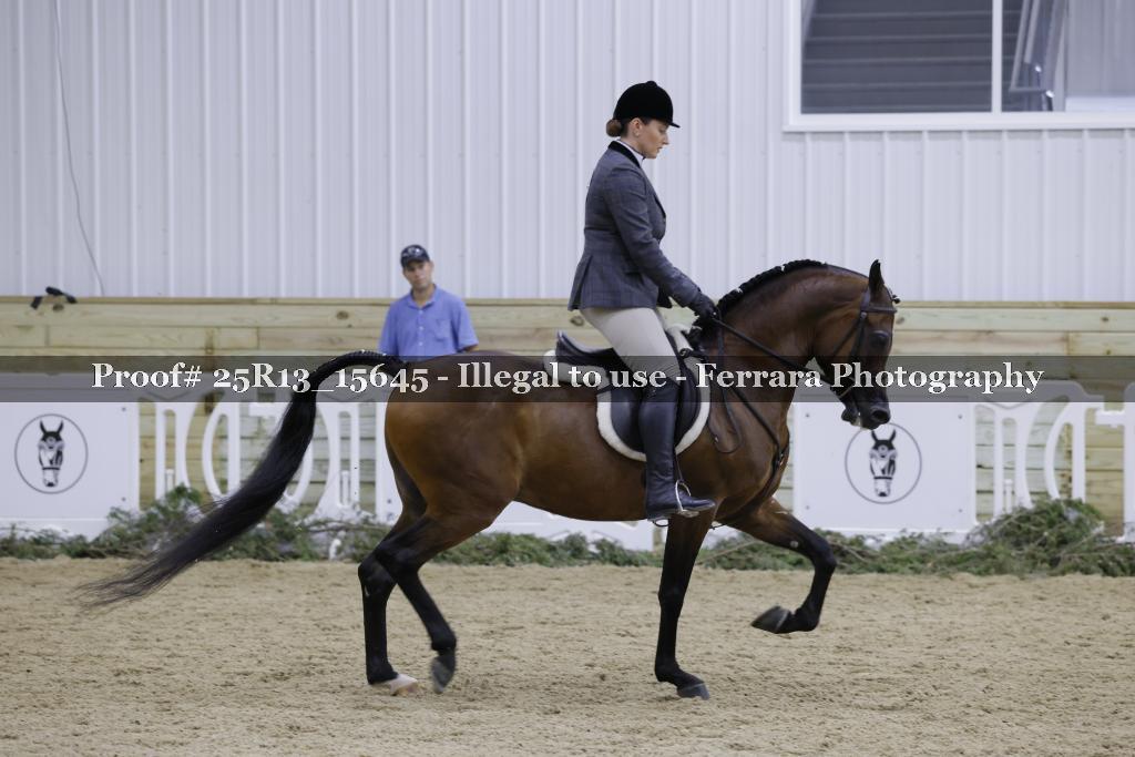 Proof 25R13_15645