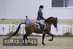 25R13_15645 proof