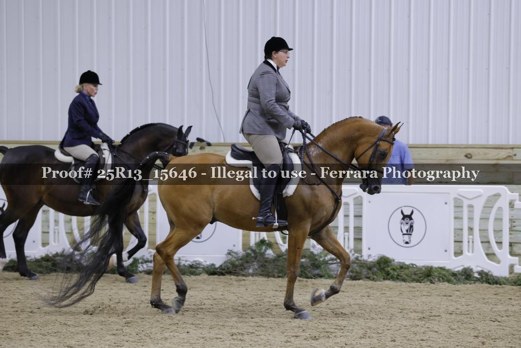 Proof 25R13_15646
