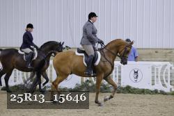 25R13_15646 proof