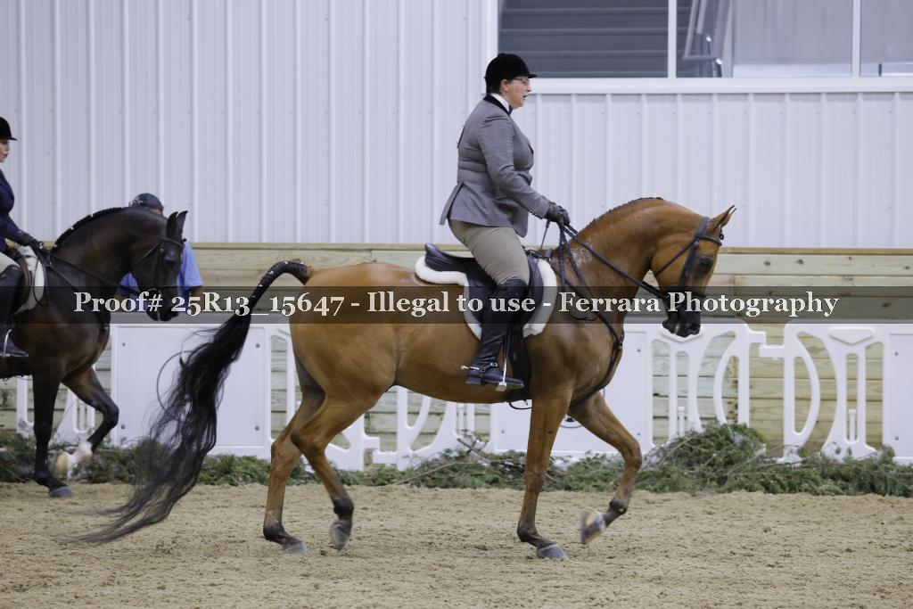 Proof 25R13_15647