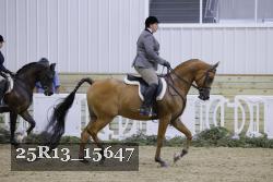 25R13_15647 proof