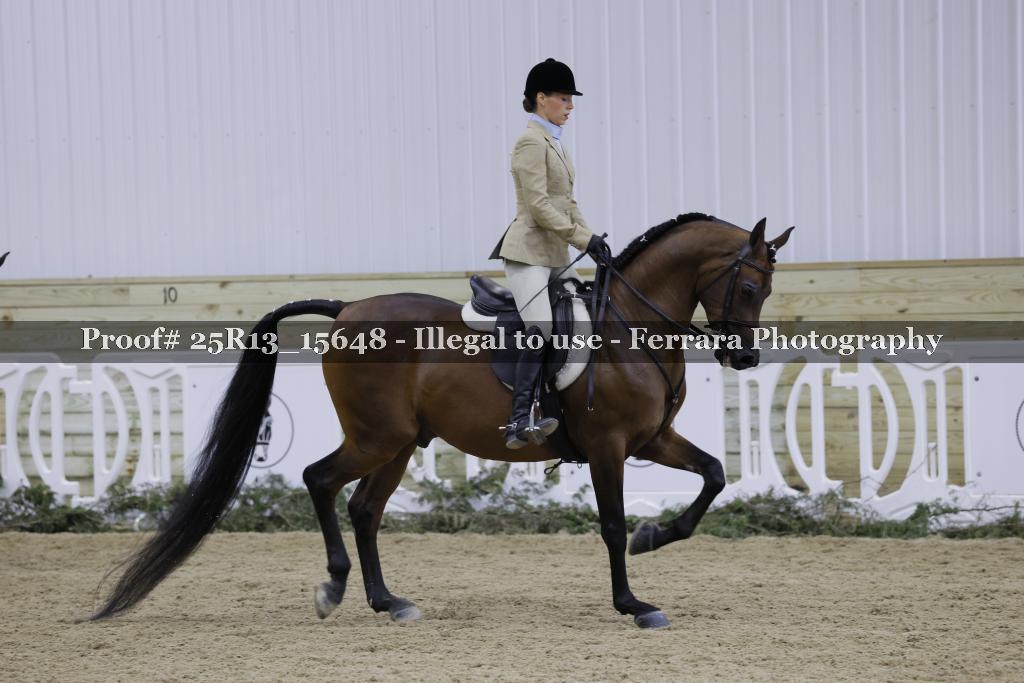 Proof 25R13_15648