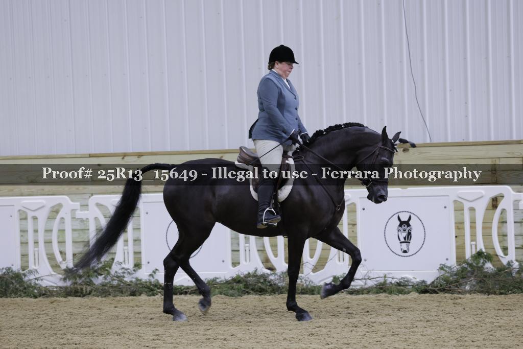 Proof 25R13_15649