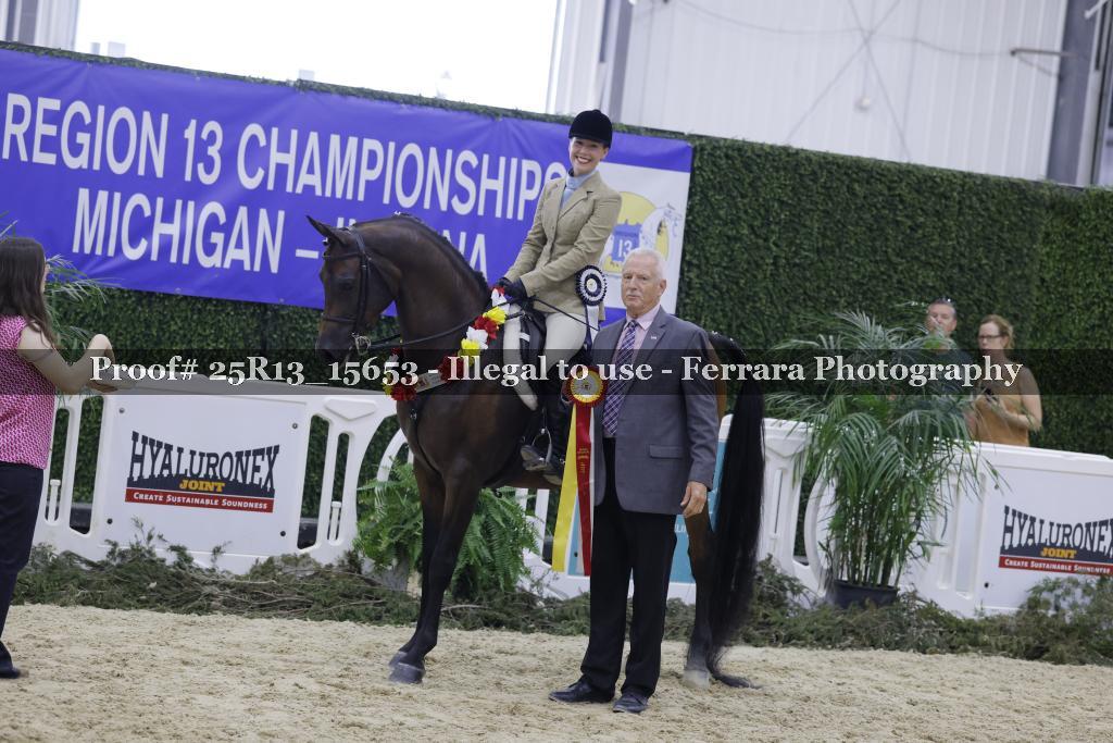 Proof 25R13_15653